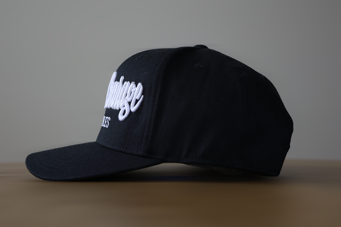 Human Courage Snap Back Hat